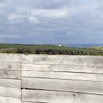 Sheepshed09b-min